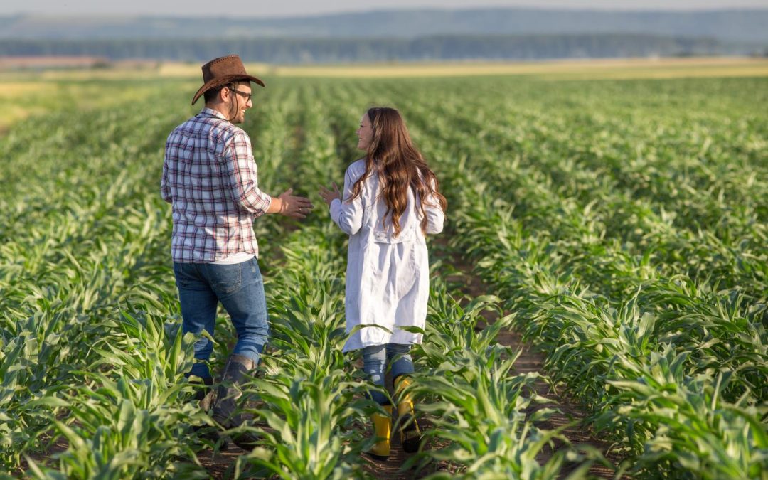 crop insurance