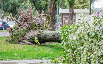 How to File a Claim for Storm Damage